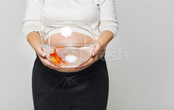 Happy pregnant woman holding a fishbowl with a goldfish in her h Stock photo © dashapetrenko