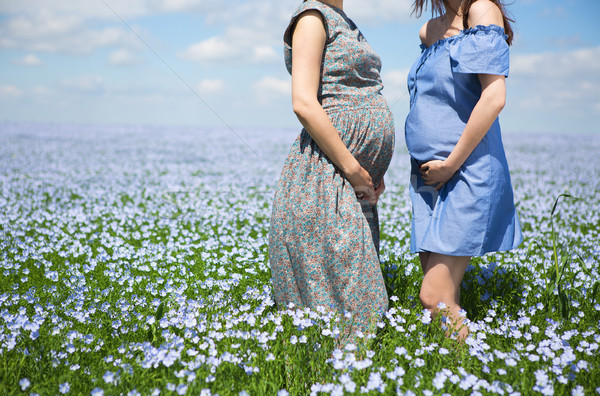 Two young beautiful pregnant woman in linen field Stock photo © dashapetrenko