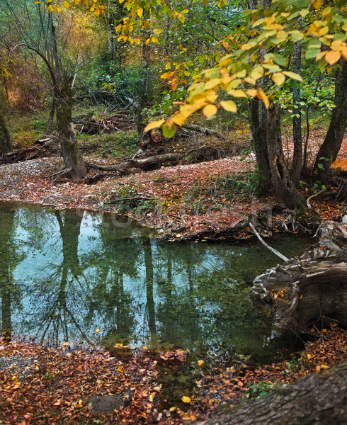 Stock photo: Small mountain river. Autumn landscape