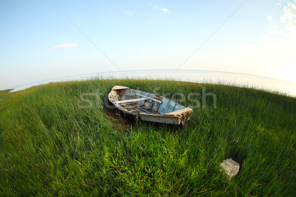 Old wooden fishing boat on the green grass  Stock photo © dashapetrenko