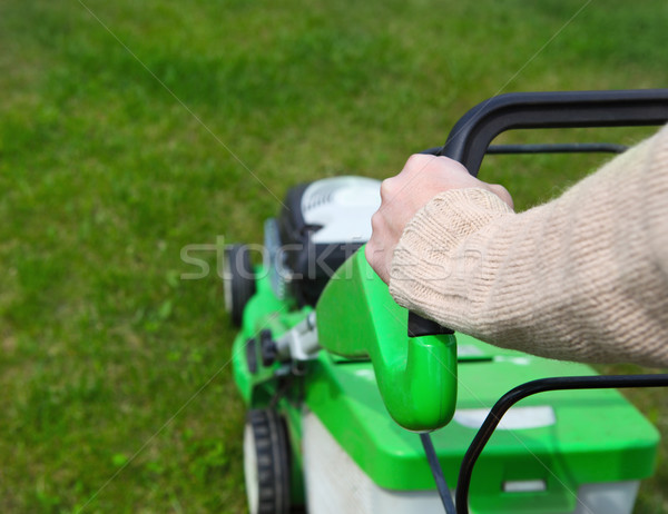 Male gardener mowing the lawn Stock photo © dashapetrenko