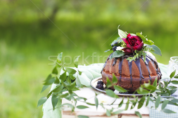 Foto stock: Bolo · de · chocolate · decorado · flores · luz · verde · cópia · espaço · bolo