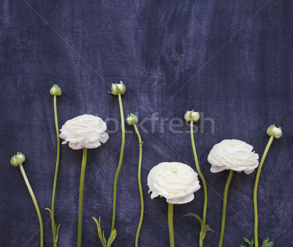 [[stock_photo]]: Belle · fleurs · sombre · papier