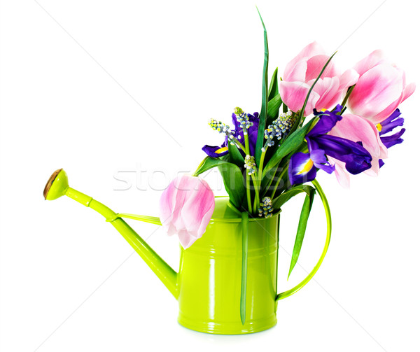 Stockfoto: Boeket · roze · tulpen · violet · iris · gieter