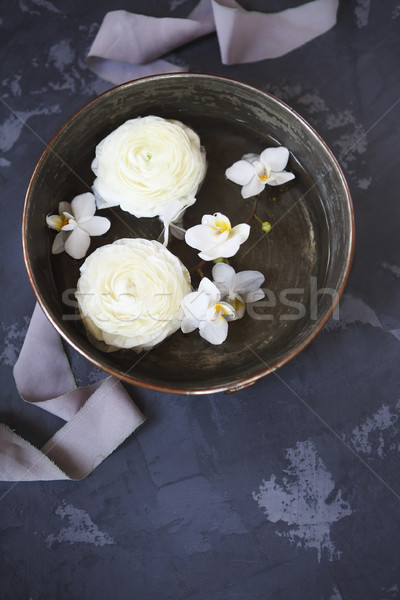 White ranunculus on black background Stock photo © dashapetrenko