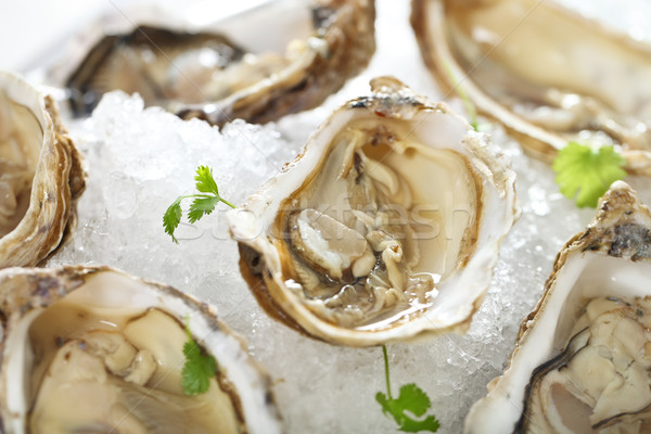 Fresh oysters platter served in ice Stock photo © dashapetrenko