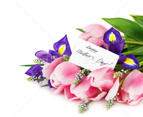 Beautiful dark purple iris flower, tulips and muscari  Stock photo © dashapetrenko