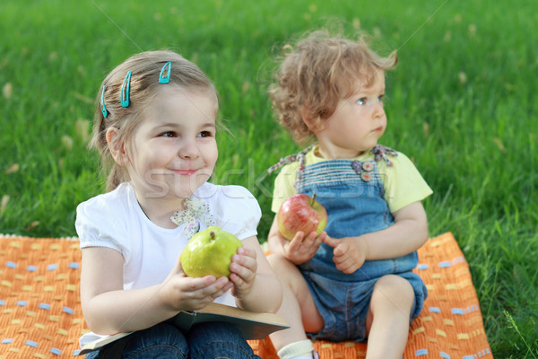 Stockfoto: Twee · picknick · park · boek · gelukkig