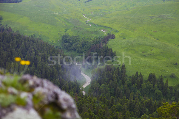 Tal Landschaft atemberaubende Russland Blume Stock foto © dashapetrenko