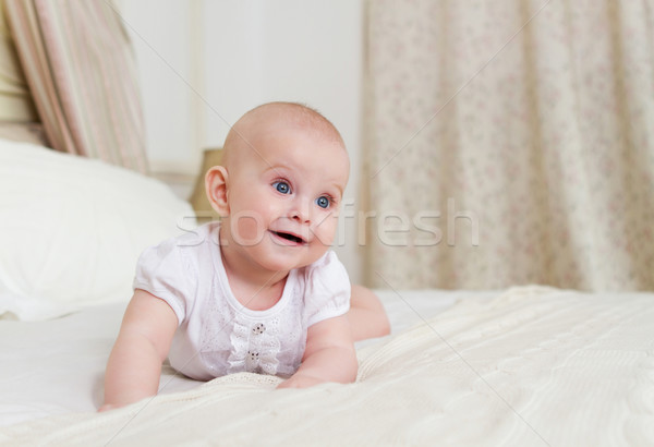 портрет шесть месяц старые ребенка Сток-фото © dashapetrenko
