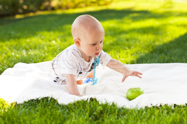 Happy baby boy with green apples on green grass in summer park Stock photo © dashapetrenko