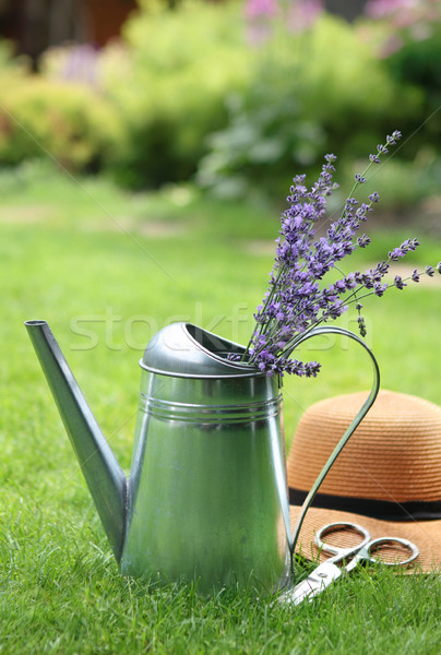 商業照片: 薰衣草 · 噴壺 · 夏天 · 花園 · 帽子 · 剪刀