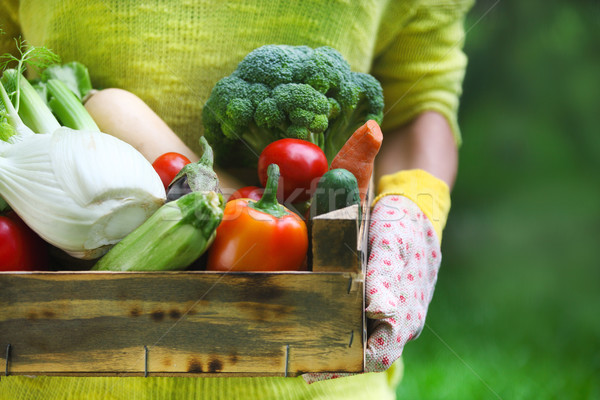 Woman wearing gloves with fresh vegetables in the box in her han Stock photo © dashapetrenko