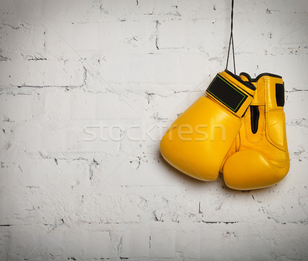 Pair of boxing gloves hanging on a wall Stock photo © dashapetrenko