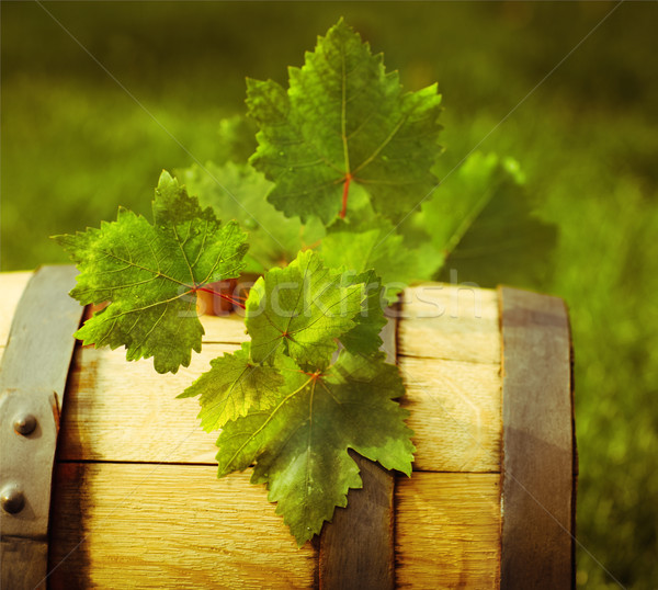 Green leaves of the grape on the wine barrel Stock photo © dashapetrenko