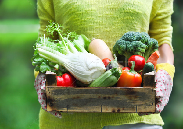 Woman wearing gloves with fresh vegetables in the box in her han Stock photo © dashapetrenko