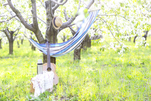 Guitar, basket, hammock, plaid and thermos in a blossoming garde Stock photo © dashapetrenko
