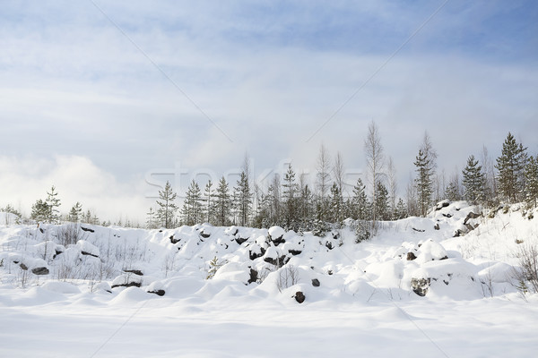 Foto stock: Invierno · paisaje · nieve · espacio · de · la · copia · árbol
