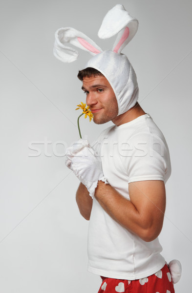 Crazy Pasqua coniglio uomo indossare suit Foto d'archivio © dashapetrenko