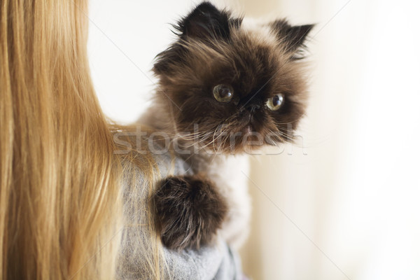 Loiro mulher gato persa extremo amor moda Foto stock © dashapetrenko