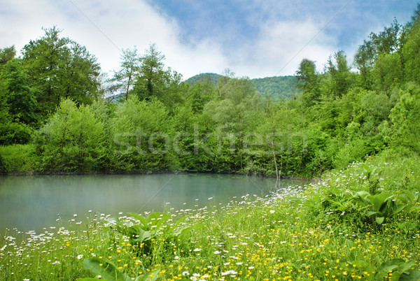 Beautiful mountain lake Stock photo © dashapetrenko