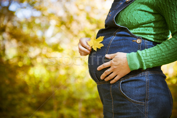 Woman holding maple leaf in her hands near her pregnant belly Stock photo © dashapetrenko