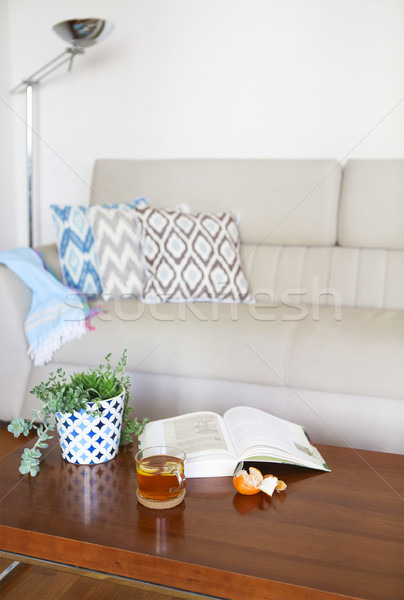 Pot with succulent plants and opened book with the tea on wooden Stock photo © dashapetrenko