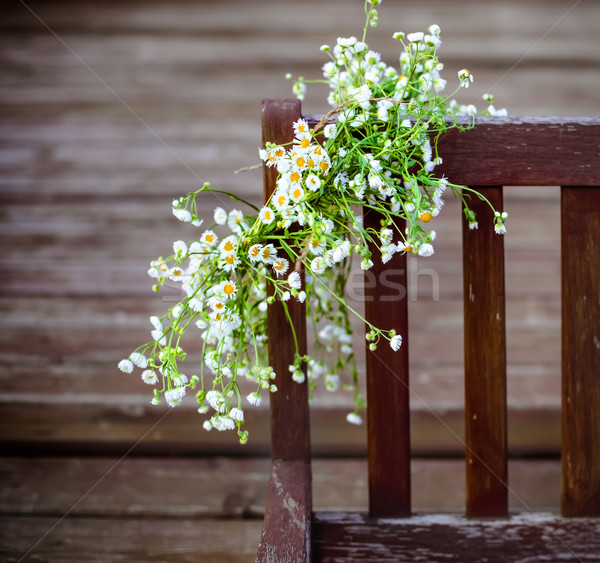 Wreath from white daisies  Stock photo © dashapetrenko