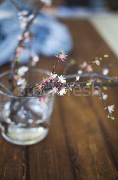 Sprig blossoming branch on wooden table Stock photo © dashapetrenko