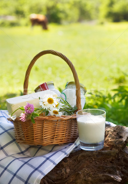 Stock photo: Different milk products: cheese, cream, milk, oil