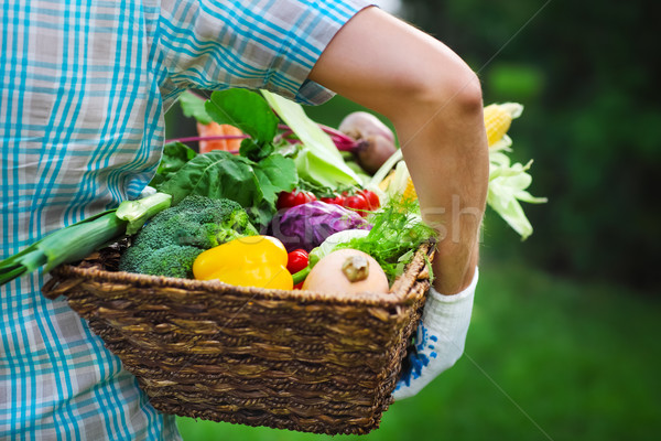 Wooden box filled fresh vegetables Stock photo © dashapetrenko