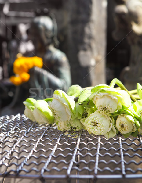 Lótusz buddhista vallásos szertartás közelkép rózsa Stock fotó © dashapetrenko