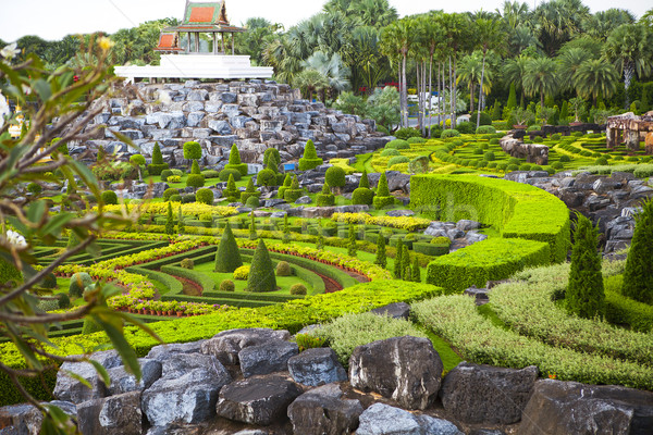 Nong Nooch Tropical Botanical Garden, details, Thailand Stock photo © dashapetrenko