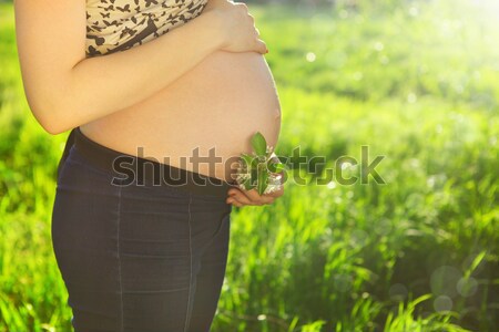 Közelkép felismerhetetlen terhes nő napfelkelte család tavasz Stock fotó © dashapetrenko