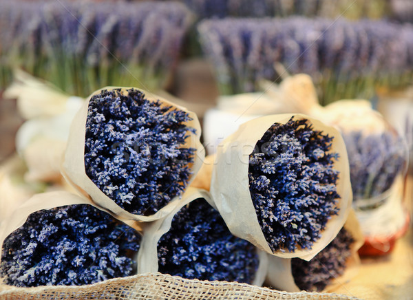 Bunches of lavenders, street market  Stock photo © dashapetrenko