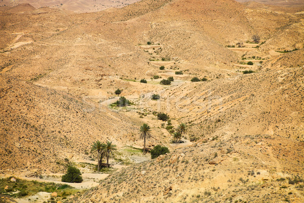 Kilátás hegy oázis Szahara sivatag Tunézia Stock fotó © dashapetrenko