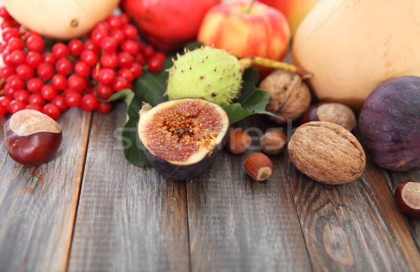 Foto stock: Otono · naturaleza · muerta · madera · naturaleza · hoja