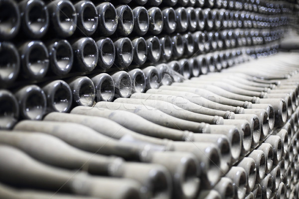 Stacked up dusty champagne bottles in the cellar Stock photo © dashapetrenko