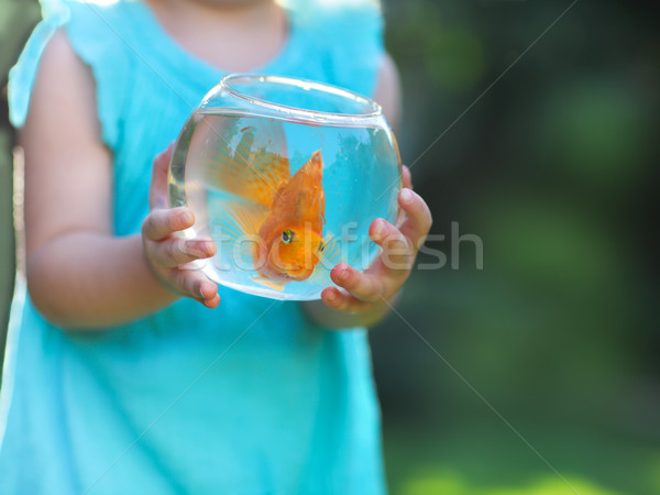 Little baby girl holding a fishbowl with a goldfish on a nature  Stock photo © dashapetrenko