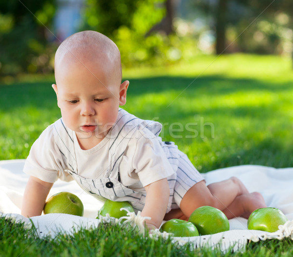 Baby boy with green apples on green grass in summer park. Stock photo © dashapetrenko