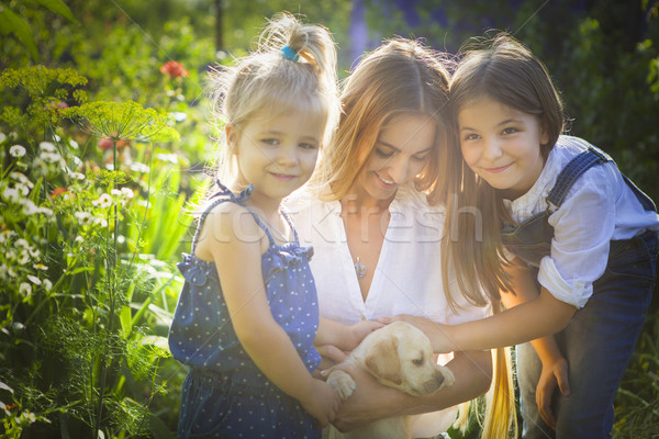 Happy woman and her daughters with puppy of labrador  Stock photo © dashapetrenko