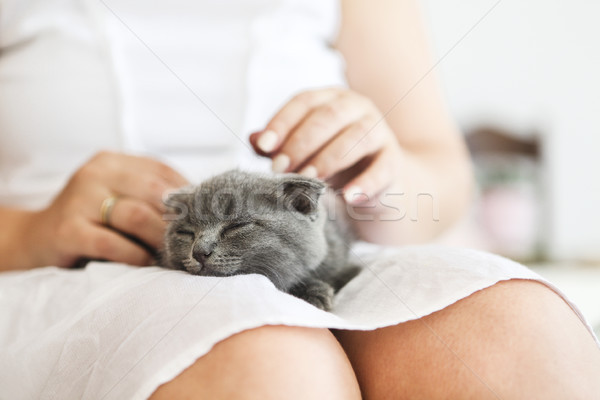 Stock foto: Halten · britisch · Hände · Frau · Hand