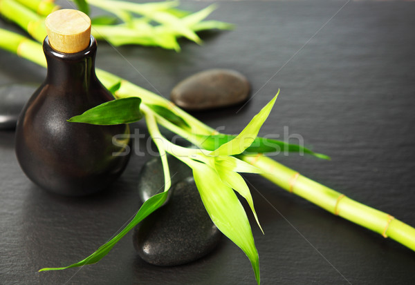 Zen basalto pedras garrafa óleo de massagem bambu Foto stock © dashapetrenko