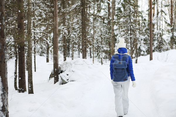Cute young woman in wintertime outdoor Stock photo © dashapetrenko