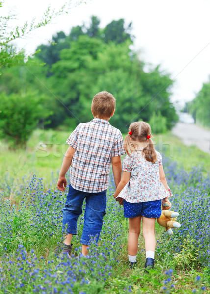 Little boy and little girl with walking  Stock photo © dashapetrenko