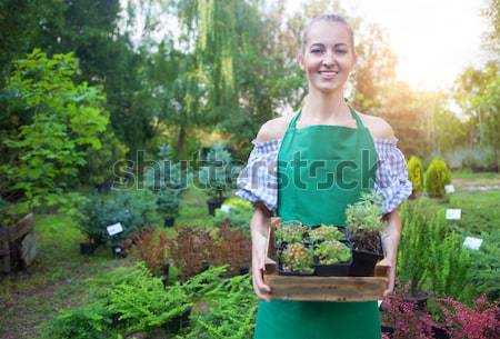 Woman holding a box with plants in her hands in garden center Stock photo © dashapetrenko