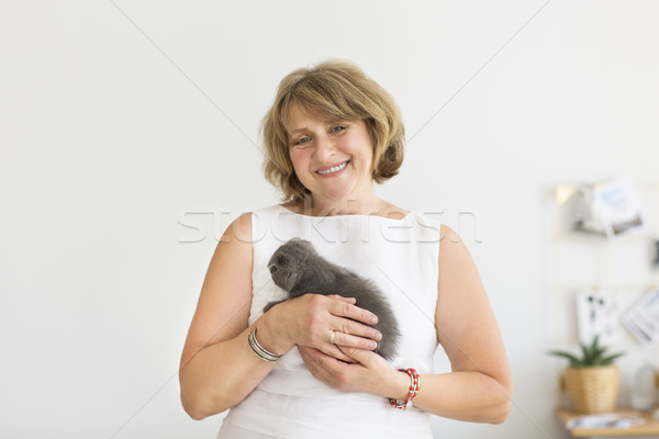 Little grey cat sitting in mature woman hands Stock photo © dashapetrenko