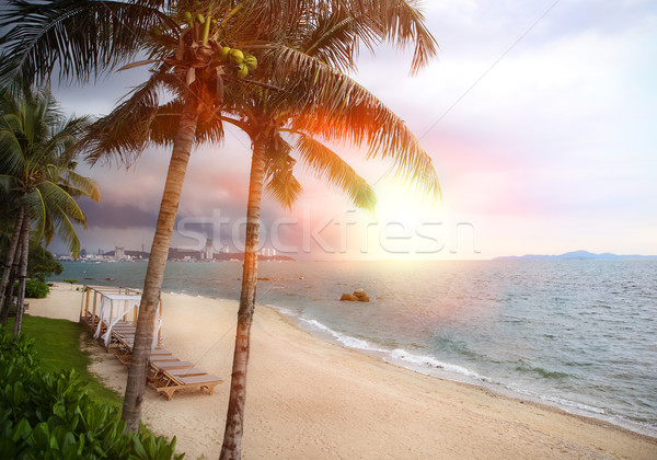 Zonsondergang tropisch strand storm zomer reizen vakantie Stockfoto © dashapetrenko