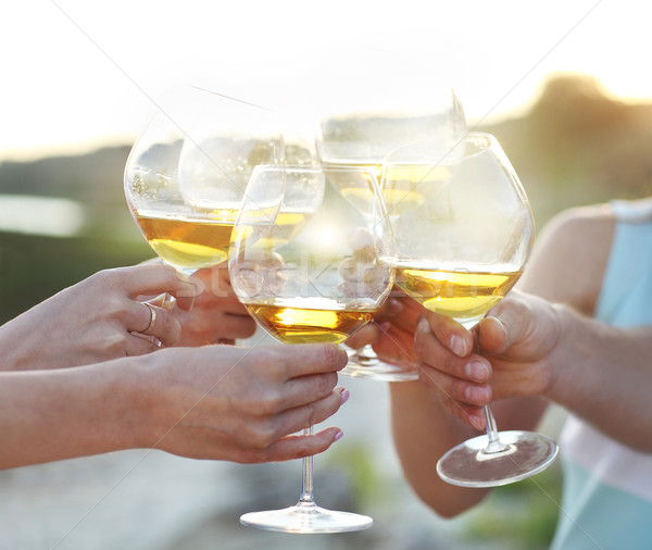 People holding glasses of red wine making a toast Stock photo © dashapetrenko
