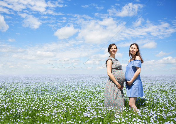 Kettő fiatal gyönyörű terhes nő vászon mező Stock fotó © dashapetrenko